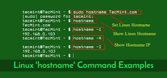5 'Hostname' Command Examples For Linux Newbies