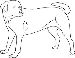 Ausmalbild Hund Zum Kostenlosen Ausdrucken Und Ausmalen Ausmalbilder Malvorlagen Hund Hunde Ausma Ausmalbilder Hunde Ausmalbilder Tiere Labrador