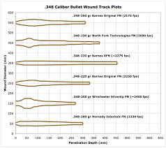 terminal ballistics