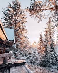 Farer create an imposing discord of severe, caustic bass textures, harrowing vocals and winding drums. Photography Aesthetic And Winter Image 6657918 On Favim Com