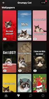 Anything to do with cats? A Fond Farewell To Grumpy Cat The Internet S Most Famous Feline Digital Trends