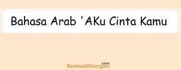 Pendidikan agama islam dan budi pekerti. Bahasa Arab Aku Cinta Kamu Dilengkapi Dengan Kosakatanya