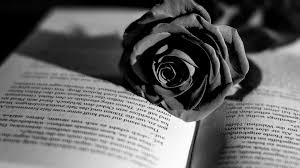 Get ready to get inspired by this list of recently released and upcoming new books by black authors, courtesy of goodreads. Black And White Book Wallpapers Top Free Black And White Book Backgrounds Wallpaperaccess