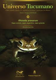 Pdf Rhinella Arenarum Sapo Comun Sapo Argentino Sapo Grande