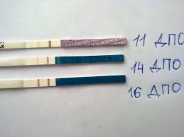 Hcg Test Norma Wahrend Der Schwangerschaft Von Tag Und Wochen Nach Konzeption Und Tisch Mit Decodieranalyseergebnisse Familienklinik Unterstutzung Jekaterinburg