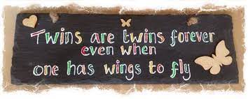 Twinless twins support group intl.™ has 4,736 members. Twins Are Twins Forever Twin Quotes Vanishing Twin Syndrome Twins
