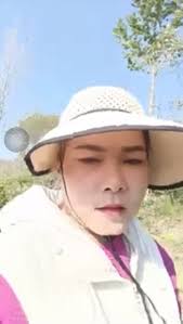 Vương Lan cuộc sống xảo trá