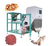 Crawler Type CCD Garlic Color Sorter / Cashew Color Sorting Machine