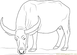 We did not find results for: Water Buffalo Coloring Page For Kids Free Buffalo Printable Coloring Pages Online For Kids Coloringpages101 Com Coloring Pages For Kids