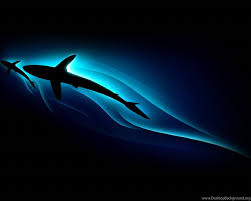 Search hd desktop wallpapers and download them for free. Cool Backgrounds For Laptop Desktop Background