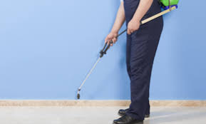 Our 18 dedicated commercial & residential pest, termite control technicians and 2 operation managers have a combined 272 years of experience serving greater st. Holper S Pest Animal Solutions Reviews Saint Louis Mo Angi