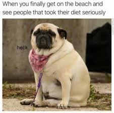 As a dog parent, we all know that we should be taking care of your dog so they are as healthy as possible. The Best Fat Dog Memes Memedroid