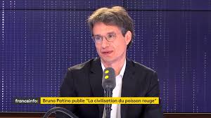 How to read / download la civilisation du poisson rouge: Bruno Patino Invite De Franceinfo Video Dailymotion