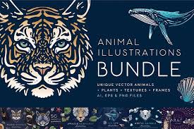 Animals Illustrations Bundle In 2020 Animal Illustration Illustration Amazon Rainforest Animals