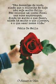 Pin By Flavia Elis On Paz