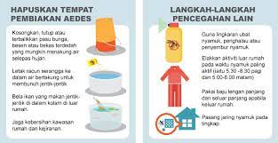 Sebenarnya ada 4 jenis virus yang menyebabkan demam denggi iaitu den 1, den 2, den 3 dan den 4. Kak Long Mengenalpasti Gejala Demam Denggi Cara Pencegahan Eztakaful