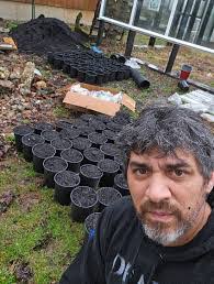 Ophelia Webster's Instagram, Twitter & Facebook