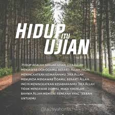 Dengan kata kata lucu ini semua bisa menjadi lawak. 12 Ide Motifasi Bijak Kata Kata Kutipan Pelajaran Hidup