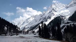 Image result for sonamarg kashmir
