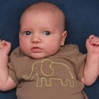 What molding/rubrail is supposed to be