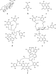 Image result for Terminalia brachystemma ×  sericea