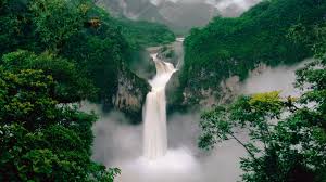 Download Wallpaper 1920x1080 Waterfall Trees Couples Full Hd Hdtv Fhd 1080p Hd Background Commercial usage of these full hd p waterfall wallpapers hd desktop backgrounds is prohibited. download wallpaper 1920x1080 waterfall