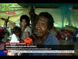 None of the trails have been maintained for years and the canopy walk buildings are locked. N1 Pencemaran Sungai Orang Asli Kuala Koh Janji Kembali Ke Penempatan Asal 11 Jun 2019 Youtube