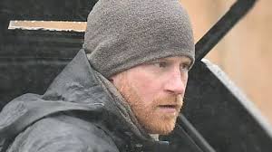 Army fury at Prince Harry 'kills' boast as colonel says he 'turned against  other family'