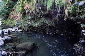 Maybe you would like to learn more about one of these? Deer Creek Bigellow Hot Springs Oregon Cascades Hot Springs Locator