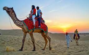 In jaisalmer, rates start from around 1,000 rupees per person for a reputable sunset camel ride into the dunes and cultural program. Half Day Sunrise Camel Safari In Jaisalmer