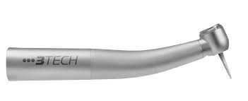 Image result for Turbina longiflora