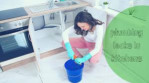 Now, if the water meter stops recording water use, it means you've isolated your water leak to the irrigation system. Easy Ways You Can Detect Plumbing Leaks In Your House