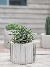 Suchen sie blumentopf beton bei den großen preisvergleich portalen gleichzeitig! Diy Blumentopf Aus Beton Fur Kakteen Und Sukkulenten Dekoideenreich