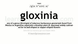 How To Pronounce Gloxinia English Pronunciation Youtube