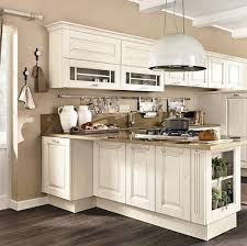 amazing kitchen cabinet design ideas