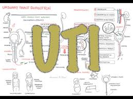 urinary tract infection overview signs and symptoms pathophysiology causes and treatment