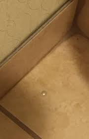 Photo2 Jpg Picture Of Wyndham Garden Grand Rapids Airport Kentwood Tripadvisor