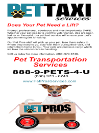 Pet Taxi Services Pet Taxi Pet Food Delivery Food Animals
