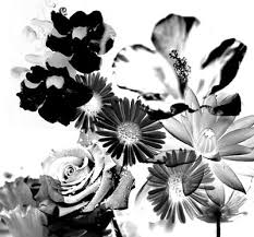 20 floral fabric brushes.abr vol.9. Massive Collection Of Over 1 000 Floral Photoshop Brushes