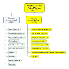 Animall local nonprofit pet adoption center. Https Www Fortworthtexas Gov Files Assets Public Government Documents Shelter Presentation Pdf