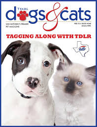 This means the number of entries. Texas Dogs Cats San Antonio January 2020 By Barbara Negron Cadiz Issuu