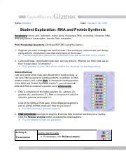 This complementary strand is called messenger rna, or. Copy Of Gizmo Rna Protein Synthesis Amalia A Pdf Name Amalia A Date February 10th 2018 Student Exploration Rna And Protein Synthesis Vocabulary Course Hero