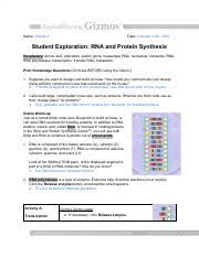 Learn vocabulary, terms and more with flashcards, games and other study tools. Building Dna Gizmo Worksheet Answers Building Dna Gizmo Pdf Assignment A2 3 Building Dna Log Some Of The Worksheets Displayed Are Student Exploration Stoichiometry Work Answers Epub Exploration Stoichiometry Answers
