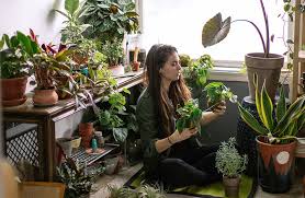 Explore the porches we're loving right now for decorating ideas and inspiration. Why Sweet Potato Vines Are Every Plant Lady S New Obsession Well Good