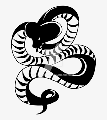 Here you can explore hq snake drawing transparent illustrations, icons and clipart with filter setting like size, type, color etc. Tribal Snake Png Drawing Free Transparent Png Download Pngkey