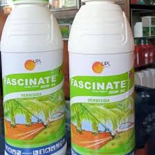 Lapangan olahraga, taman, dan areal parkir. Herbisida Lulangan Grinting Fascinate 150sl Original Shopee Indonesia