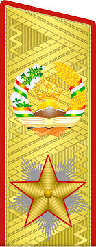 Армейские знаки в петлицах, на пуговицах, фуражках и флагах различных стран мира. ВВС. Часть 25 Авиация,Символизм,Армия,Униформа