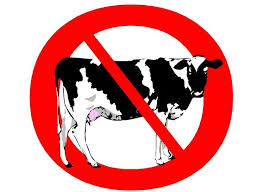 Image result for no dairy clipart