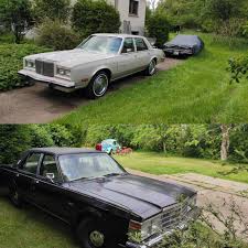 Image result for Butterscotch 1994 Reliant