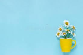 See more ideas about yellow aesthetic, blue aesthetic, yellow. Bouquet Chamomile Daisies Flowers In Yellow Mug On Pastel Blue Color Paper Background Copy Space Template For Postcard Stock Image Image Of Natural Beauty 136747615